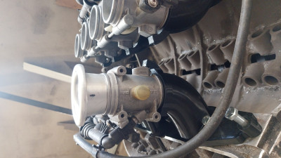 IMG-20260409-WA0008.jpeg