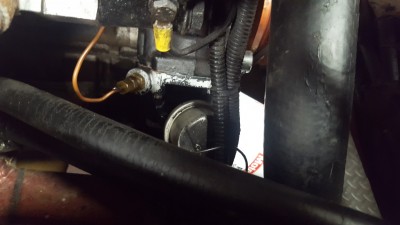 20210715_190422 (Medium).jpg