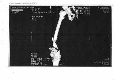 metal & bones_0001.jpg